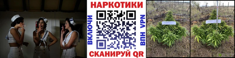 Купить наркоту Перевоз Марихуана Альфа ПВП Меф