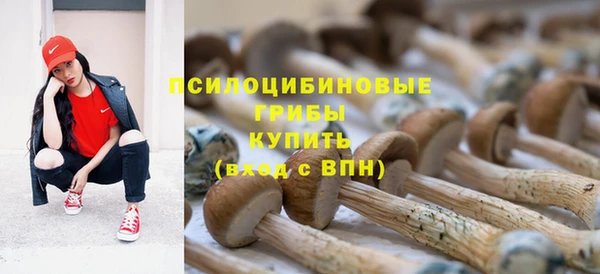 мяу мяу мука Алексеевка