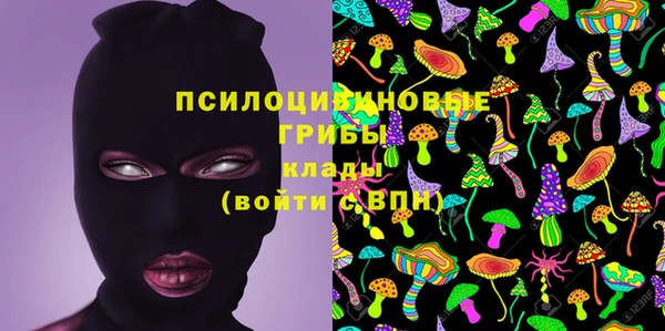 2c-b Алексин