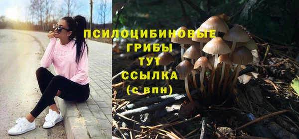 2c-b Алексин