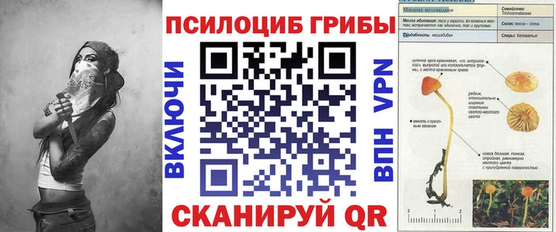 где продают наркотики  Перевоз  Псилоцибиновые грибы MAGIC MUSHROOMS 